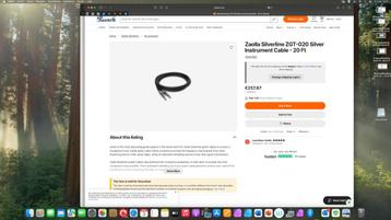 Zaolla Silverline Guitar Cable + Laney 65C akoestische  beschikbaar voor biedingen