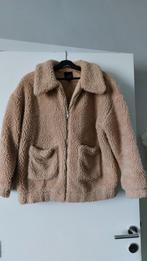 Veste femme Teddy New Look, Beige, Porté, Taille 42/44 (L), Enlèvement