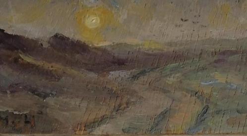 Sientje Mesdag van Houten 'Duingezicht ' olieverf op paneel, Antiek en Kunst, Kunst | Schilderijen | Modern, Verzenden