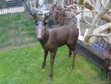 Familiebeeld, bronzen hert, natuurlijke grootte, 4 stuks beschikbaar voor biedingen