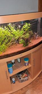 Aquarium vision 450 te koop met toebehoren., Ophalen of Verzenden, Zo goed als nieuw
