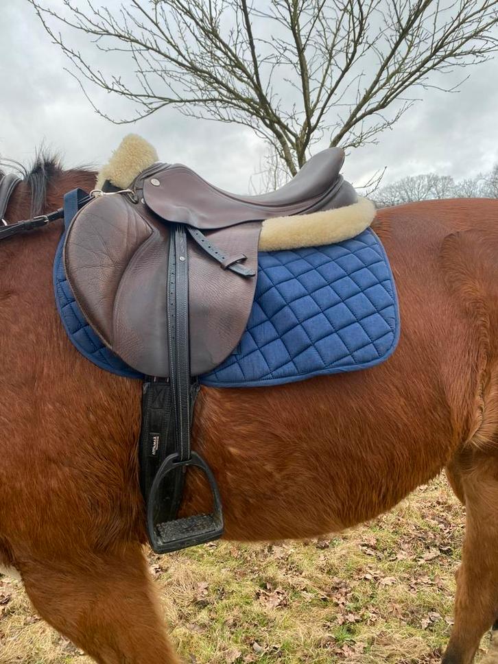Springzadel 17 inch te koop, Dieren en Toebehoren, Paarden en Pony's | Zadels, Gebruikt, Ophalen