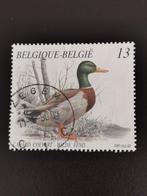 Belgique 1989 - oiseaux - canards - canard colvert, Enlèvement ou Envoi, Affranchi, Autre