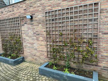 Hardhouten Klimplantroosters beschikbaar voor biedingen