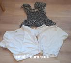 Croptops en topjes. Maat smal prijs zie foto's., Kleding | Dames, Topjes, Ophalen of Verzenden, Gedragen