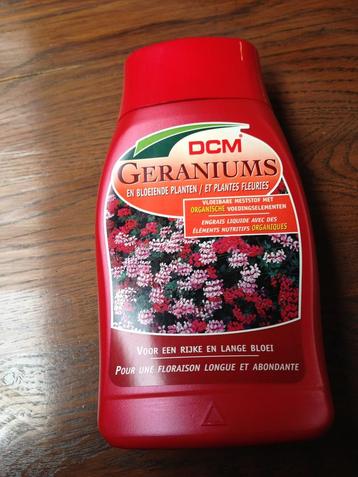 DCM Geraniums