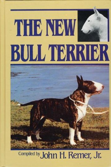 (d17) The New Bull Terrier beschikbaar voor biedingen
