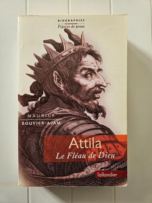 Attila - De plaag van God, Boeken, Geschiedenis | Wereld, Gelezen, Ophalen of Verzenden