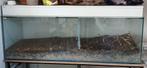 Terrarium met verlichting op onderstel., Ophalen, Gebruikt, Terrarium of Paludarium