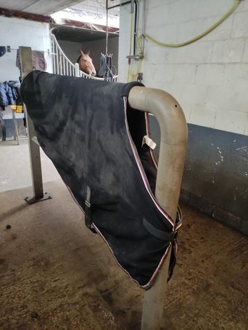 dun zweetdeken paard beschikbaar voor biedingen