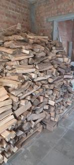 5,7 kubieke meter droog brandhout 4 jaar, Eikenhout, 3 tot 6 m³, Blokken, Ophalen