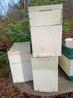 3 zesramer zwermkastjes, Dieren en Toebehoren, Januari