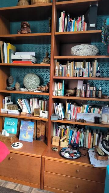 Bibliotheek- en tv-meubilair in Kersenhout, Huis en Inrichting, Ophalen