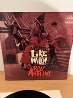 LP - Ray Anthony - Like Wild, Cd's en Dvd's, Vinyl | Jazz en Blues, 1960 tot 1980, Gebruikt, Ophalen of Verzenden, 12 inch