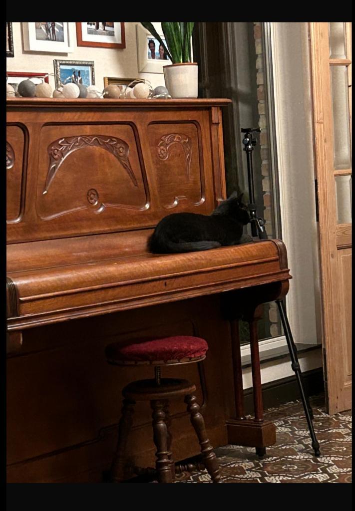 Piano, Muziek en Instrumenten, Piano's, Piano, Ophalen of Verzenden