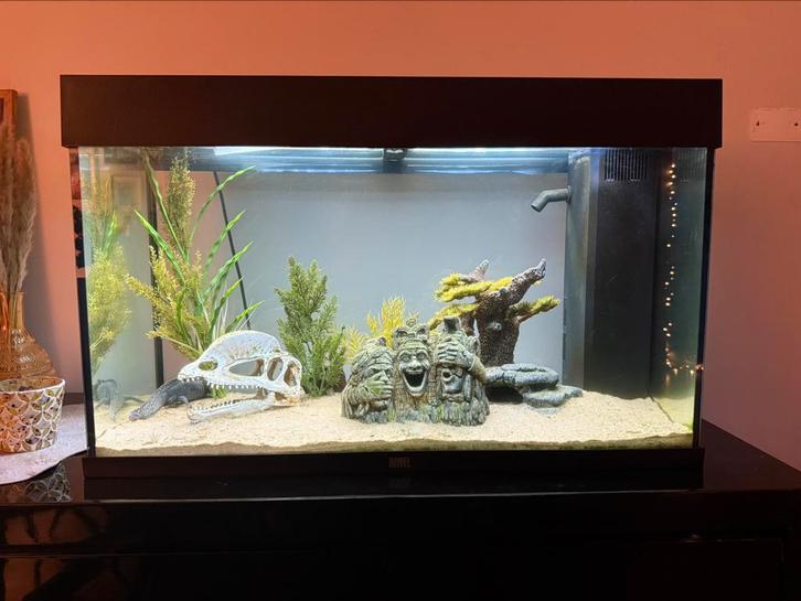 Groot aquarium MET Axolotl, Dieren en Toebehoren, Vissen | Aquaria en Toebehoren, Zo goed als nieuw, Ophalen