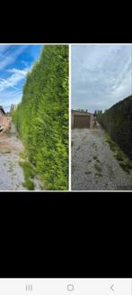 Clôture jardin, Ophalen of Verzenden, Zo goed als nieuw