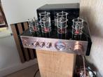 Fenton TA60 nieuw, Audio, Tv en Foto, Zo goed als nieuw, Ophalen, Overige merken, Minder dan 60 watt