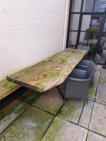 Boomstamtafel beschikbaar voor biedingen