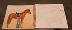 Paarden stickerboek Dress Up your Horse Miss Melody, Ophalen of Verzenden, Gebruikt, Overige typen
