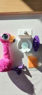 Gotta go flamingo, Enlèvement