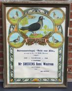 Lithographie Pigeon Company diplôme Wetteren 1949, Antiquités & Art, Enlèvement