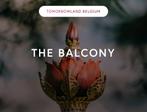 1x vip tickets balcony Tomorrowland 18/7, Tickets en Kaartjes, Evenementen en Festivals, Eén persoon