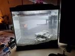 Aquarium, Ophalen, Zo goed als nieuw, Gevuld zeewateraquarium