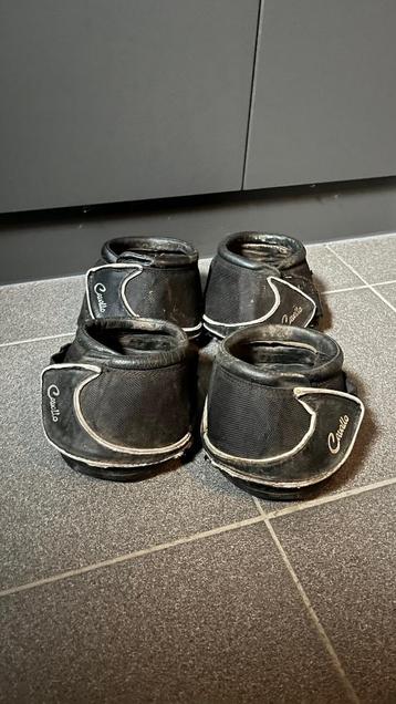 Hoefschoenen beschikbaar voor biedingen