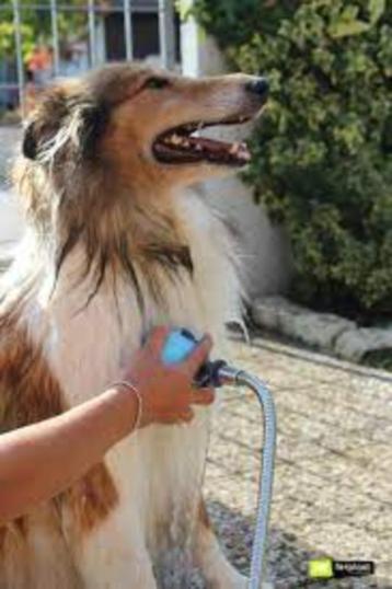 Dog Shower - van Ferplast Nieuw in verpakking. beschikbaar voor biedingen
