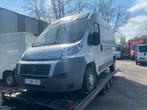 Fiat ducato 2.3jtd koeling frigo, 2300 cc, Bedrijf, 3 zetels, Handgeschakeld