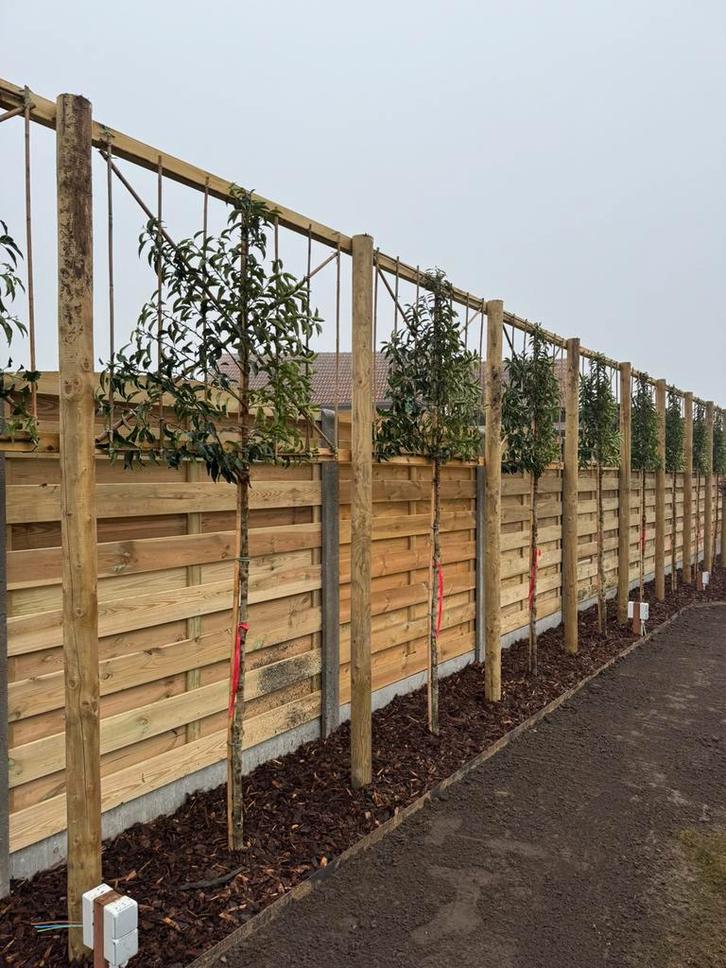 Hout-beton schutting plaatsen, Jardin & Terrasse, Palissades, Neuf, Bois, 1 à 2 mètres, 6 mètres ou plus, Enlèvement