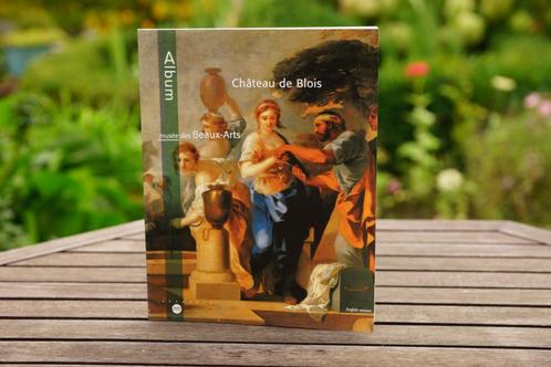 Château de Blois, Musée des beaux-arts - English **als nieuw, Boeken, Kunst en Cultuur | Beeldend, Zo goed als nieuw, Ophalen of Verzenden