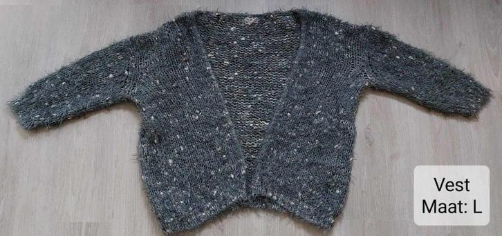 Vest dames: maat L (NIEUW), Kleding | Dames, Truien en Vesten, Nieuw, Maat 42/44 (L), Grijs, Ophalen of Verzenden