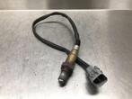 SONDE LAMBDA Hyundai i10 (F5) (01-2007/12-2013) (3921002950), Utilisé, Hyundai