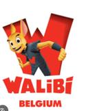 2 Walibi tickets te koop, Twee personen, Ticket of Toegangskaart