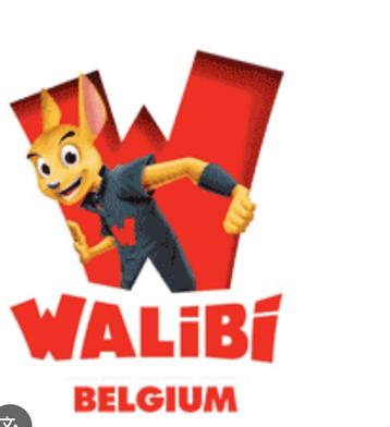 2 Walibi tickets te koop, Deux personnes, Ticket ou Carte d'accès