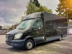 Paardencamionette Mercedes Sprinter 2014, Dieren en Toebehoren, Ophalen of Verzenden, Gebruikt, Polyester, 2-paards trailer