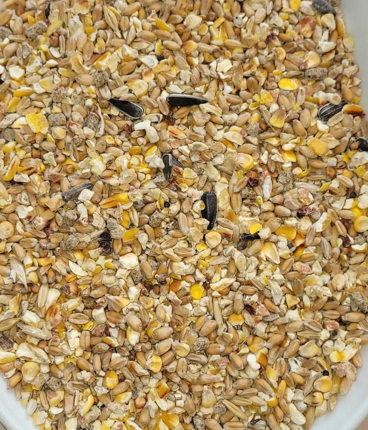 Kippengraan met Gebroken Mais, Zonnepitten & Legkorrel 20kg, Dieren en Toebehoren, Dierenvoeding, Pluimvee, Ophalen of Verzenden