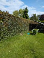 Tuin onderhoud, Diensten en Vakmensen, Tuinonderhoud of Snoeiwerk