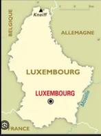 Commerce à remettre au Luxembourg (société), Zakelijke goederen