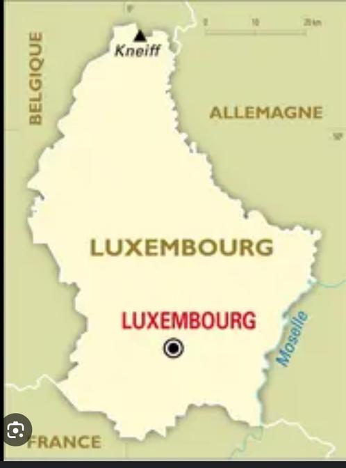 Commerce à remettre au Luxembourg (société), Zakelijke goederen, Exploitaties en Overnames