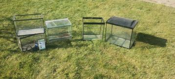5 aquariums  disponible aux enchères