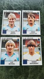 Panini du FC Bruges 1985, Comme neuf, Enlèvement ou Envoi