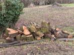 Brandhout - wilg, 6 m³ ou plus, Enlèvement, Autres essences de bois, Troncs d'arbres
