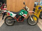 Penta Moto Morini enduro 50 Motorfiets, Bedrijf, Overig, Penta Moto Morini enduro 50