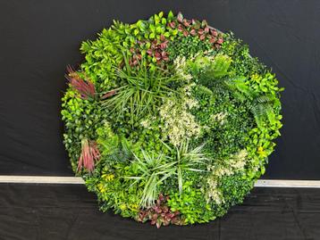 Kunsthaag Rond 100x100 cm beschikbaar voor biedingen