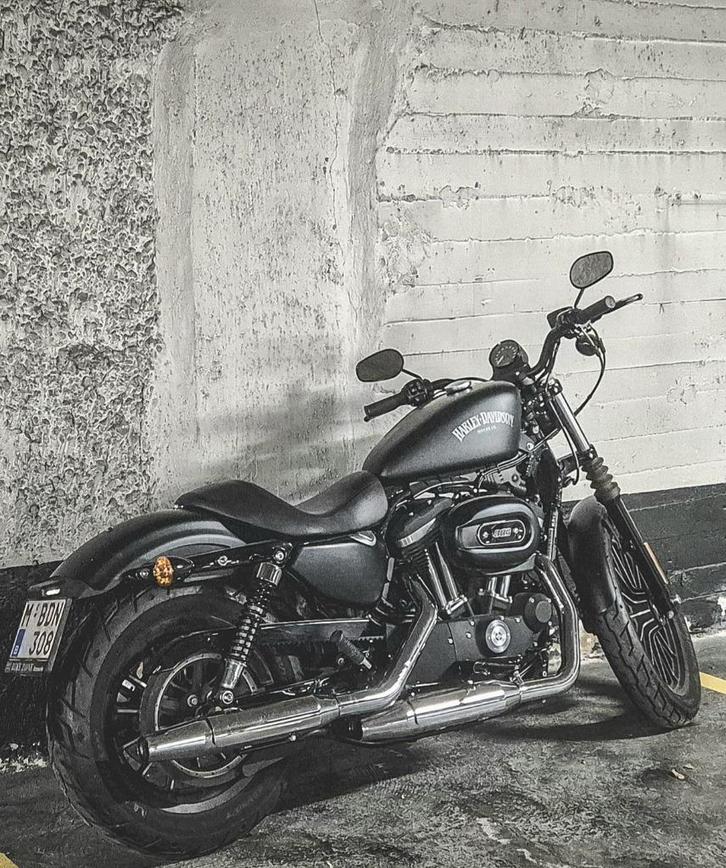 Harley-Davidson Iron 883, Motoren, Motoren | Harley-Davidson, Particulier, Chopper, meer dan 35 kW, Ophalen
