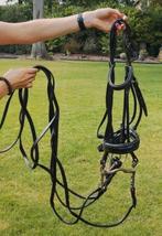 Stang en Trens hoofdstel incl bitten, Enlèvement ou Envoi, Utilisé, Dressage