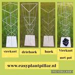 ZELF KWEKEN handige plantrekken met kwekerspot, Volle zon, Vaste plant, Ophalen of Verzenden, Klimplanten